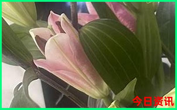 长春一汽参观景点